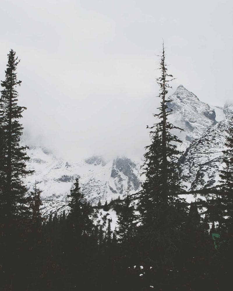 Winter